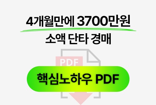 부동산경매 4개월에 3700만원 버는 PDF